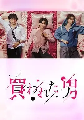 揭秘《被买的男人》：爱情的交易与心灵的救赎之旅